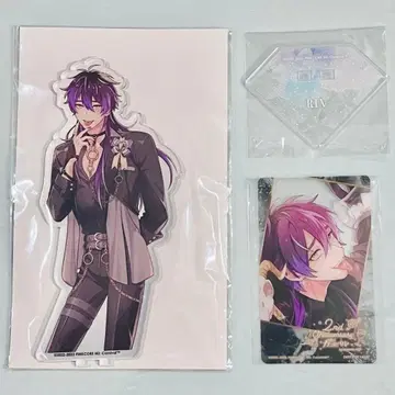 NU: 카니발 NU: Carnival 린 아크릴 스탠드 애니카페