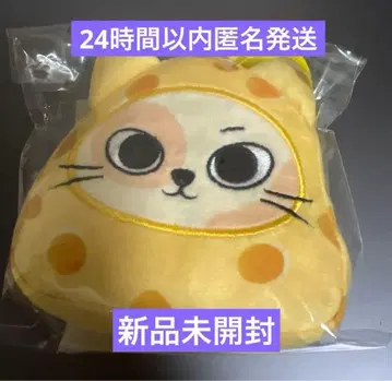 BOYNEXTDOOR BBNEXDO 톰 제리 손호 키링 미개봉