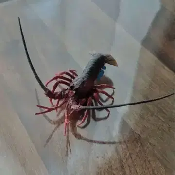 네이처 테크니컬러 일본의 생물 이세에비 가챠 11