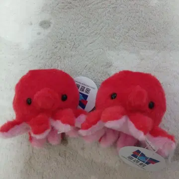 새상품. 해유관. 오사카 문어 콩주머니. 봉제 인형 택 포함