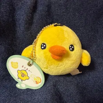 키이로이토리 모두 함께 만푸쿠마쿠마쿠 봉제 인형 키디랜드 한정판