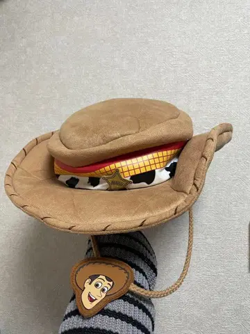 도쿄 디즈니 리조트 토이스토리 우디 제시 팬캡