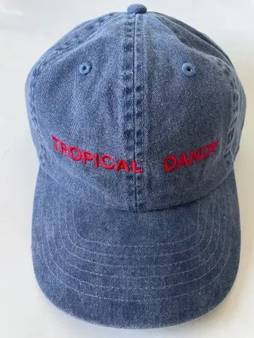 호소노 하루오미 Tropical Dandy 캡