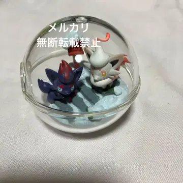 리멘트 테라리움 컬렉션 14 조로아