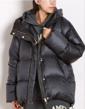 Goldwin 별주 PERTEX QUANTUM 다운 파카