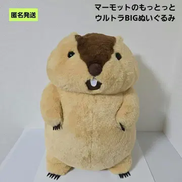 [ 익명 ] 마모트의 모토토 울트라 BIG 아타로 봉제 인형
