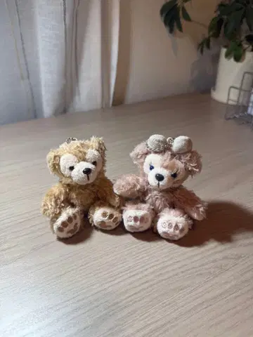 더피 셰리메이 스트랩 2개 세트