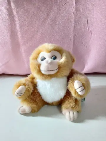 원숭이 봉제 인형 택 포함