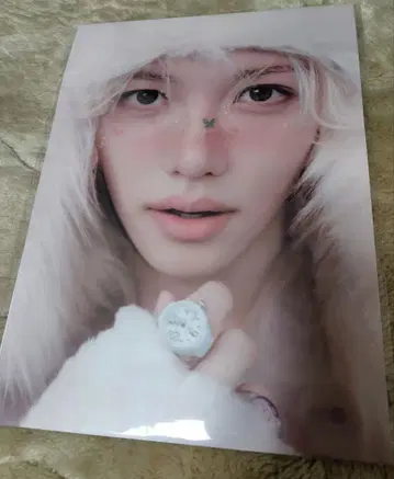 필릭스 포스터 Stray Kids 스키즈 팬미팅 비니 부속품