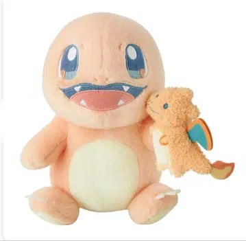 포켓몬 Little Daydream 파이리와 리자몽 봉제 인형