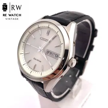 6-7223 CITIZEN Eco-Drive H100 손목시계 실버/