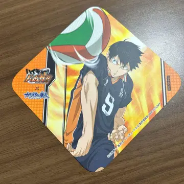 하이큐!! 바보카!! 가라오케노테츠진 코스터 카게야마 토비오