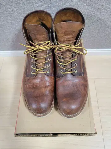 레드윙 9111 아이리쉬 세터 브라운 부츠