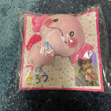 사토 다이키 멘프로 우파고로