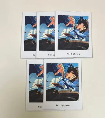 앙스타 사쿠마 레이 파샤츠 vol.4 private