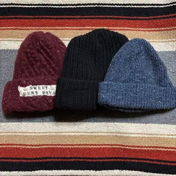 니트 모자 3개 세트 프리 사이즈