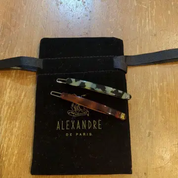 ALEXANDRE DE PARIS 헤어핀 2개 세트