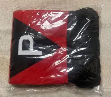 히라사와 스스무 핵 P-MODEL 비코드인의 어코드 머플러