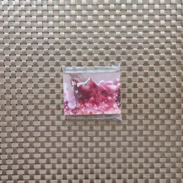 프로세카 시로이시 안 노블 아트 준 브라 vol.42