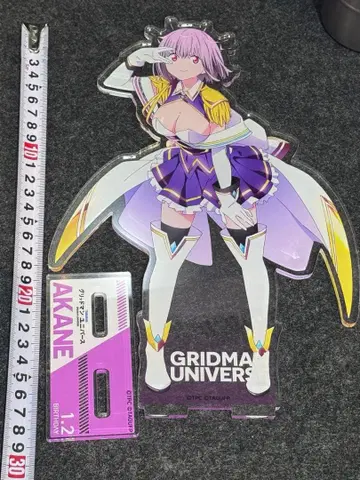 신조 아카네 - SSSS.BIRTHDAY- 메가 아크릴 스탠드