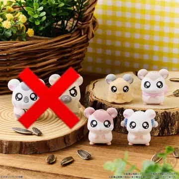 햇살이 가득 복슬복슬 햄스터 인형 세트 묶음 판매