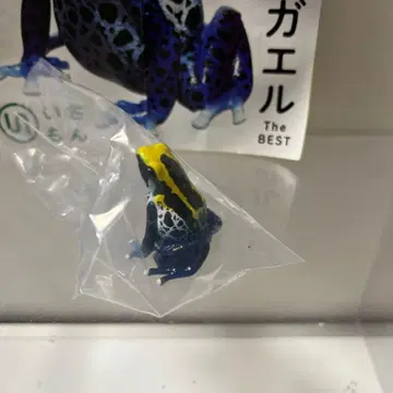 네이처 테크니컬러 아이조메 야독개구리