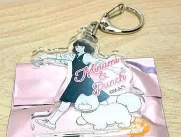 아다치 미츠루 화업 55주년 기념 굿즈 히로인 아크릴 참 터치