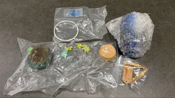 피크민 테라리움 컬렉션 2 밤의 탐색