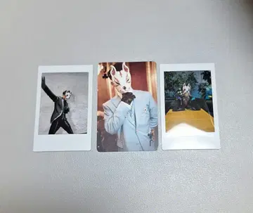 O-MENZ 여우 폴라로이드 & 트럼프 세트 3