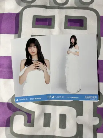 이오키 마오 11월 브로마이드