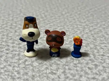 동물의 숲+ 숲을 만들자! F-7 너굴(다누키치) 순경 꽃