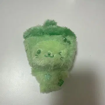 랜덤 컬러 위시 인형 그린 컬러 (버블 냥)