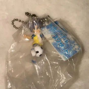 이나즈마 일레븐 이나이레 후부키 시로 이터널 블리자드 키링