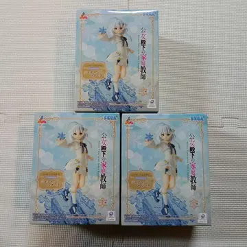 공녀 전하의 가정교사 Luminasta 티나 하워드 3세트