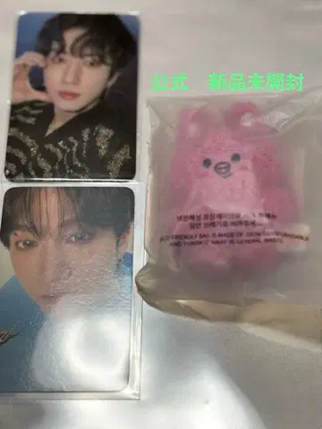 창빈 마이크로 키링 stray kids 돼끼 skzoo