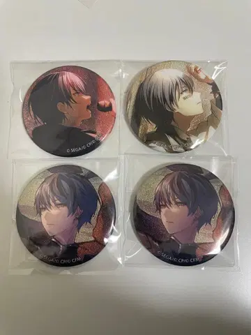 프로세카 그리캔 28c 28B 27B 아오야기 토우야