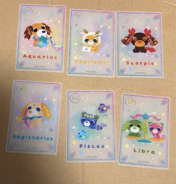 오챠이누 세리아