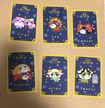 세리아 오챠이누