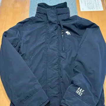 Abercrombie & Fitch 점퍼 네이비