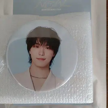 seventeen new 디노 배지