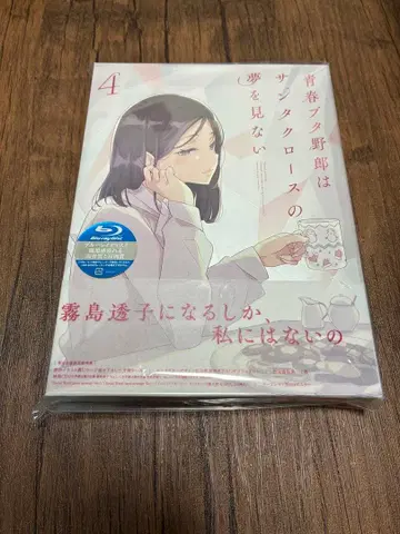 청춘 돼지 바보는 산타클로스의 꿈을 꾸지 않아 BD Vol.4