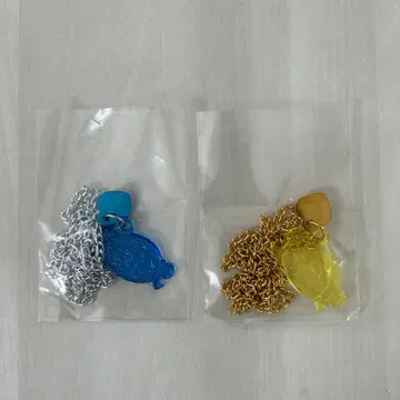 세본스타 스타 콜라보 타케시타 파라다이스 시나코