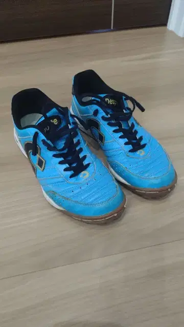 데스포르치 칸피나스 풋살화