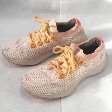 all birds Tree Dasher TD 오렌지