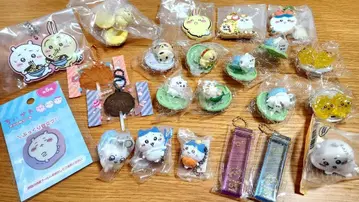 치이카와 초코 서프라이즈 가챠 키링