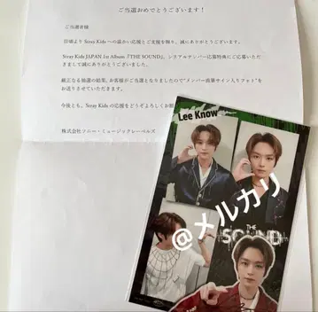 Straykids 스키즈 리노 친필 사인 트레이딩 카드 폴라로이드 소니뮤