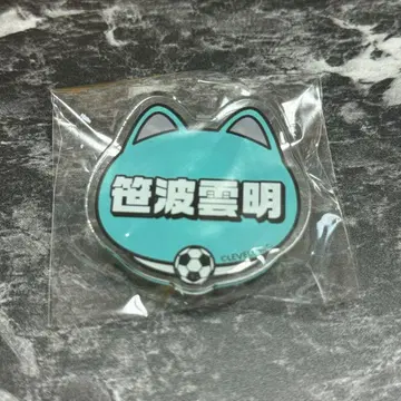 이나즈마 일레븐 이나이레 사사나미 쿠모아키 난자타운 네임 배지