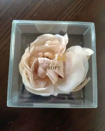 아틀리에 소카 for ROPE 베이지 코사지