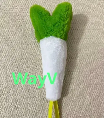 WayV 웨이션 파 파 파 펜 케이스