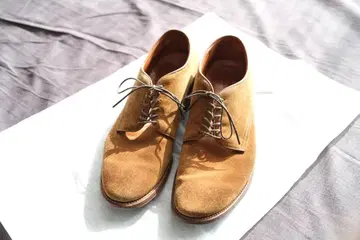 Alden x ANATOMICA 56196 모디파이드 라스트 8D